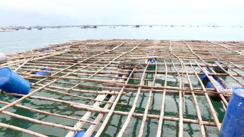 Cơ quan chức năng Campuchia đã ban hành lệnh cấm đánh bắt cá thời vụ trong năm 2023 đối với toàn bộ khu vực đánh bắt cá ở nước này, kéo dài trong 4 tháng mùa mưa với mốc thời gian quy định cụ thể cho các ngư trường, khu vực đánh bắt cá trên phạm vi toàn quốc.