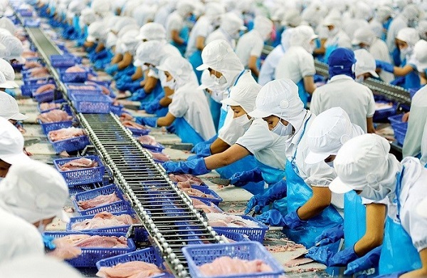 Các thị trường ráo riết gom mua với giá cao, Việt Nam xuất khẩu nông sản trúng đậm. Chỉ trong 6 tháng, kim ngạch xuất khẩu cá tra tăng gần gấp đôi. Ngành lâm sản cũng thu về hơn 9 tỷ USD.