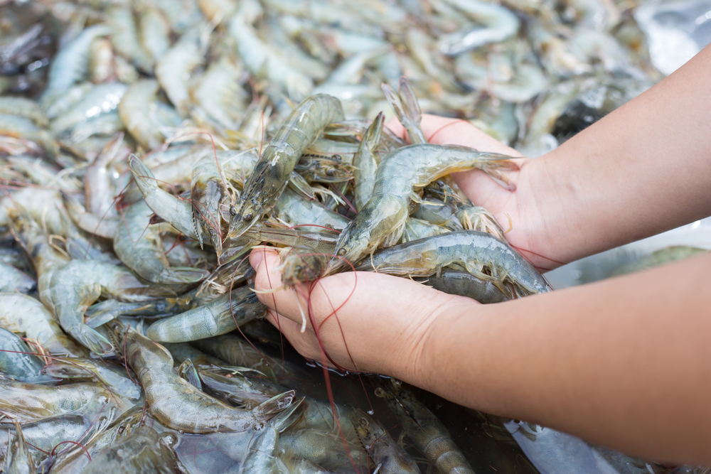 Quảng Nam phấn đấu 99% cơ sở sản xuất, kinh doanh nông - lâm - thủy sản bảo đảm an toàn thực phẩm