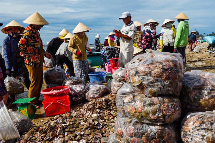 Nguồn lợi thủy sản Bình Thuận bị cạn kiệt, do đâu?