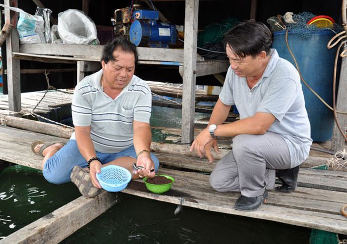 Đồng Nai: Người nuôi cá giống được mùa, được giá