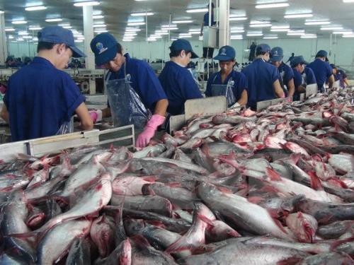 Hiệp hội Chế biến và Xuất khẩu thủy sản Việt Nam (VASEP) dự báo xuất khẩu thủy sản có thể hồi phục trong nửa cuối năm nay nhờ tín hiệu khả quan hơn ở các thị trường tiêu thụ và nếu khó khăn tài chính của doanh nghiệp sớm được tháo gỡ.