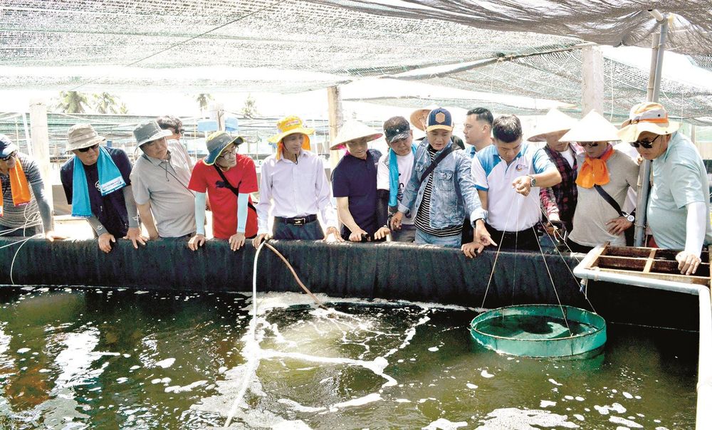 Quảng Nam đang theo đuổi phát triển thủy sản xanh, thân thiện với môi trường, giảm khai thác, tăng nuôi trồng, bảo vệ nguồn lợi, phát triển bền vững.