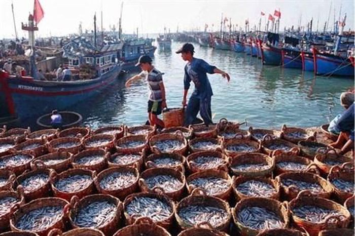 Với gần 32 km bờ biển, tỉnh Tiền Giang có điều kiện thuận lợi, thế mạnh để phát triển kinh tế biển; trong đó, nghề đánh bắt hải sản được xem là mũi nhọn.