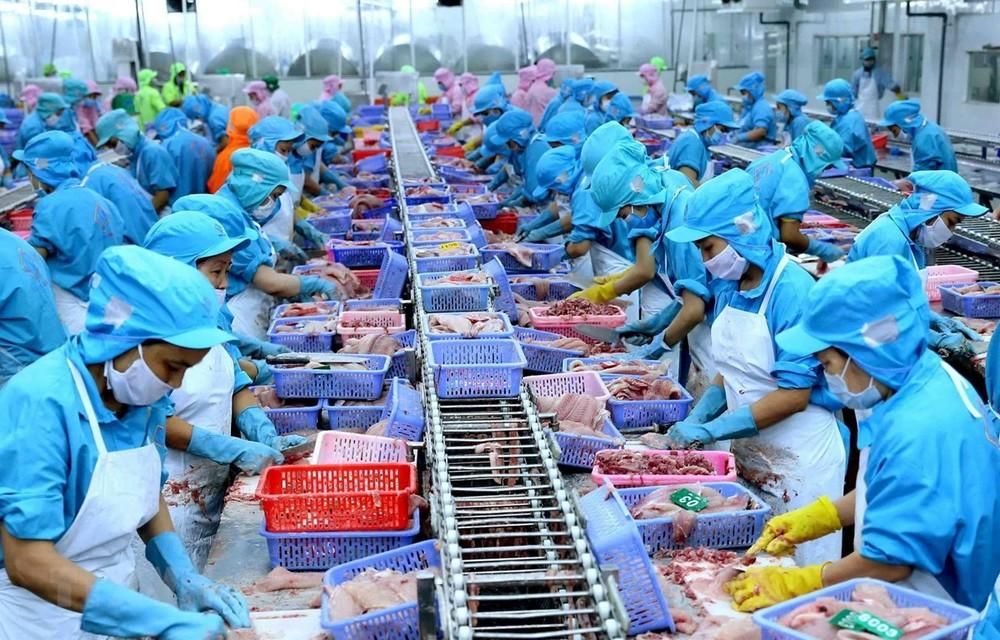 Mở đầu năm 2024, ngành thủy sản Việt Nam đã ghi nhận con số khả quan về xuất khẩu. Bên cạnh sự phục hồi đó, xuất khẩu thủy sản dự báo cũng phải đối mặt với nhiều khó khăn. 