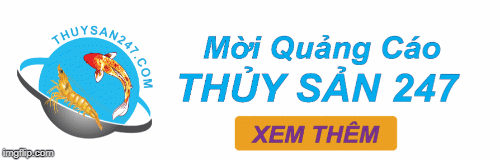 Đối tác truyền thông thủy sản 247