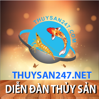 Adv thuysan247